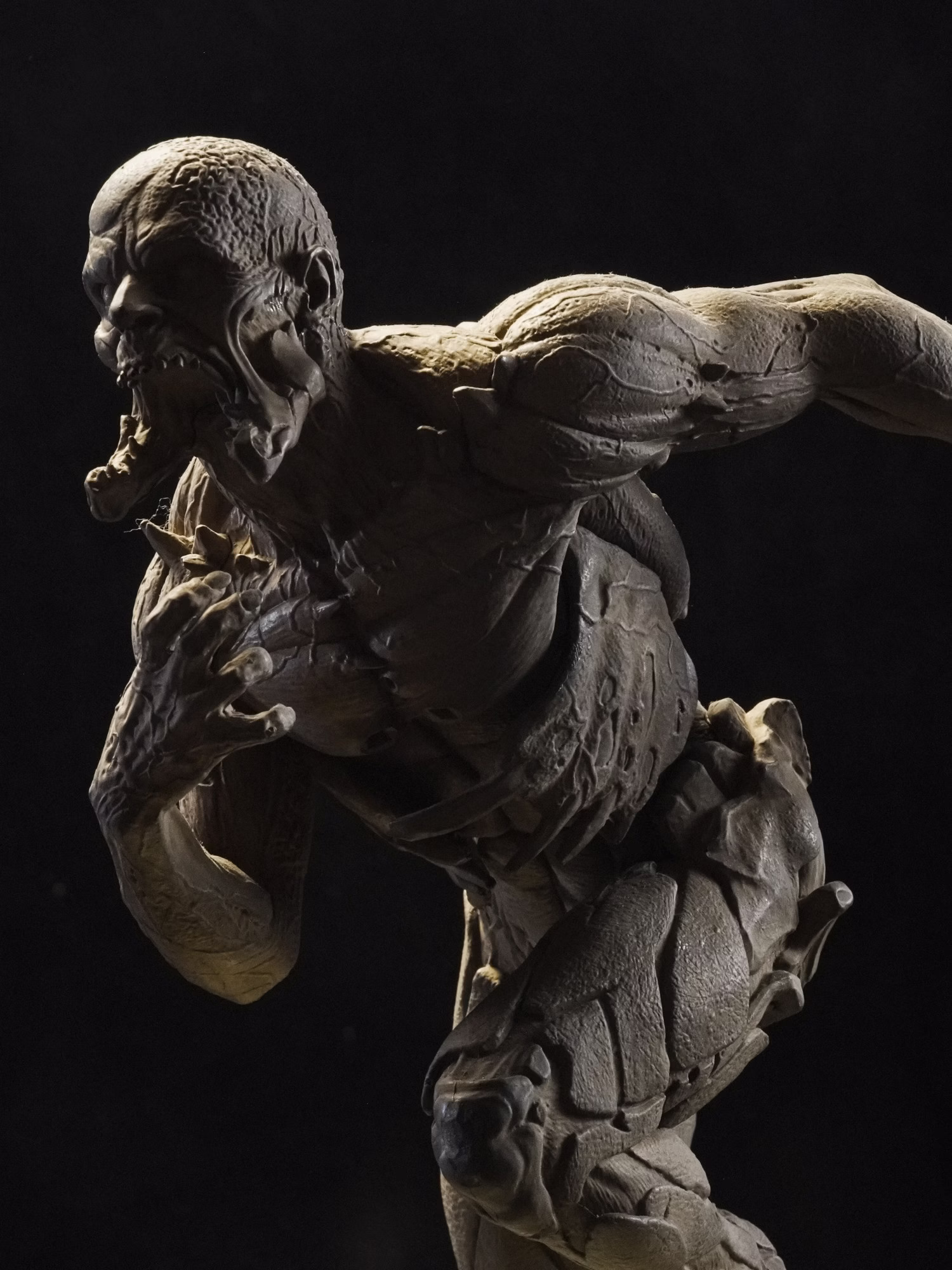 VOLETAIL  OLD but GOLD